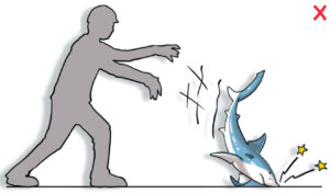 DO NOT throw, hit, or squeeze the animal. Prevent the animal from battering itself against the deck or other hard objects. (Poisson et al, 2012)